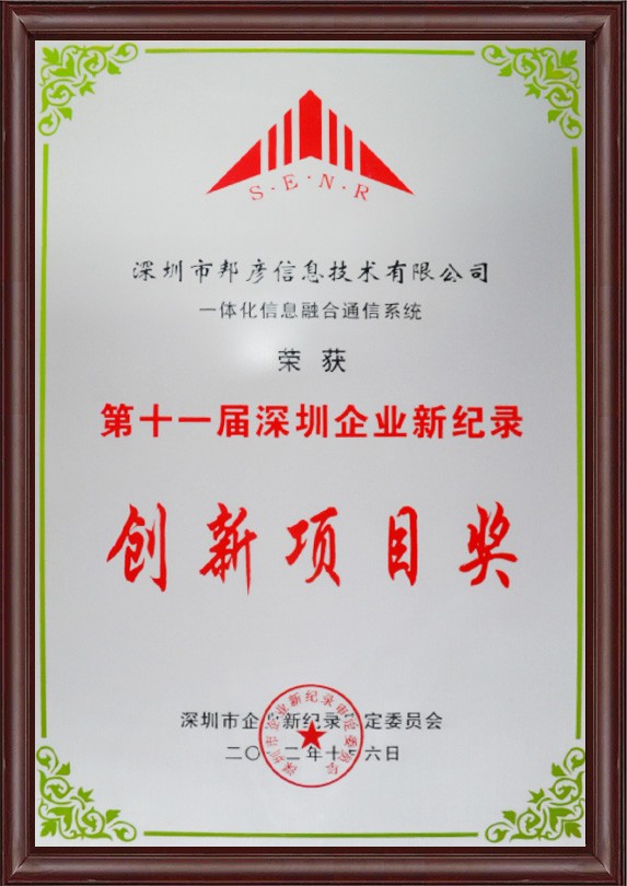 深圳企业新纪录创新项目奖
